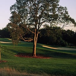 The Ridge Golf Course & Events Center