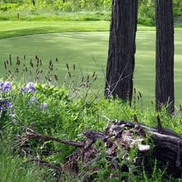 Coyote Creek Golf Club