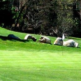 The Greens At Hamilton Run