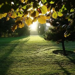 Golf Centrum Rotterdam