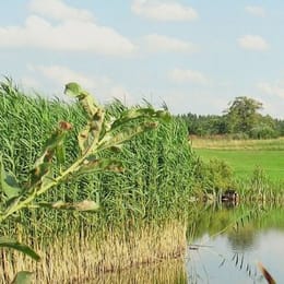 Golfpark Berlin Prenden (Hunter's Nine)