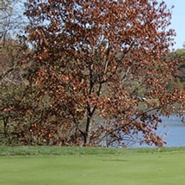 Mules National Golf Club