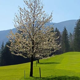 Golf Club Adamstal (Wallerbach)