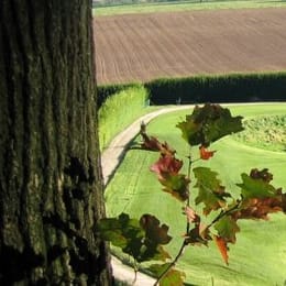 Royal Bercuit Golf Club