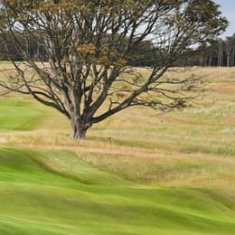 The Renaissance Club