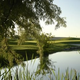 Falcon Crest Golf Club (Championship)