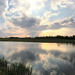 Golf Club Verden (Kurzplatz)