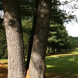 Southampton Country Club