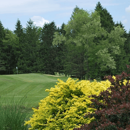 Bel Meadow Golf Club