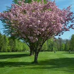 Münchener Golf Club Thalkirchen