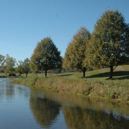 Fox Creek Golf Course