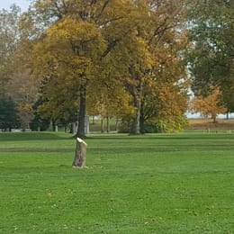 Sugar Creek Golf Course - Elmore