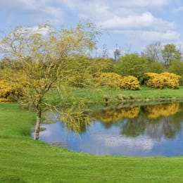 Rossmore Golf Club