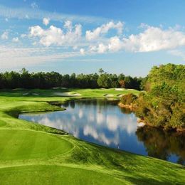 Wild Wing Plantation (The Avocet)