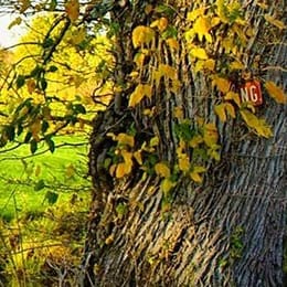 Indian Spring Country Club