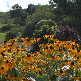 Pleasant Valley Country Club