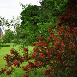 Royal Golf Club Oudenaarde (The Anker)