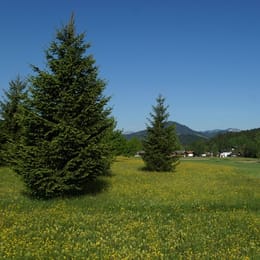 Golfclub Wilder Kaiser