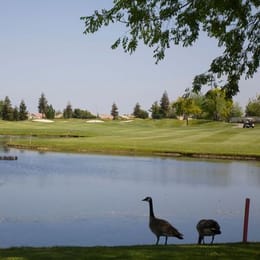 Timber Creek Golf Course (Sierra Pines)