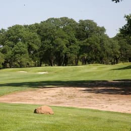 Timber Creek Golf Course (Timber Creek)