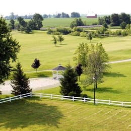 Chicago Golf and Tiki Tees