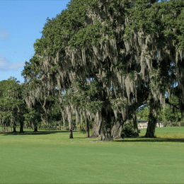 The Eagles Golf Club (Lakes)