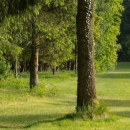 Mittelholsteinischer Golf-Club Aukrug (Par 3)