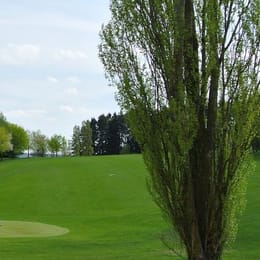 Golfclub Steigerwald in Geiselwind