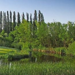 Golfclub Op de Niep (18h)