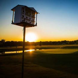 Bella Vista Golf Course