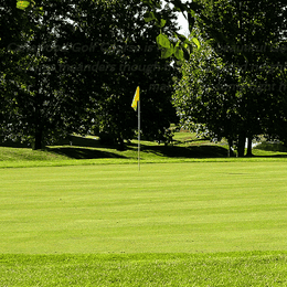 Canewood Golf Course