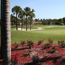 The Bridges at Springtree Golf Club
