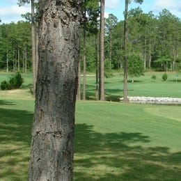 Lake Diamond Golf & Country Club