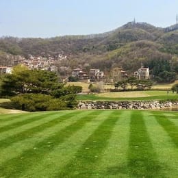 Gold Country Club (Champion)