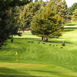 Mount Frontenac Golf Course