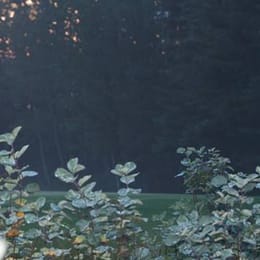 The Creek Golf & Country Club