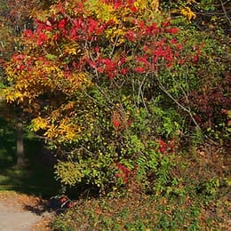 Iron Creek Golf Club