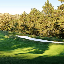 Bemidji Town & Country Club