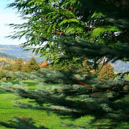 Champion Lakes Golf & Country Club