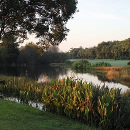 Cypress Woods Golf & Country Club