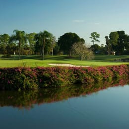 The Forest Country Club (Bobcat)