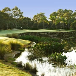 The Forest Country Club (Bear)