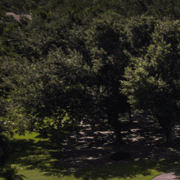 Foxfire Golf & Country Club