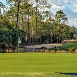 Tiburón Golf Club (Black)