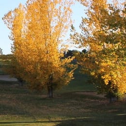 Aztec Municipal Golf Course