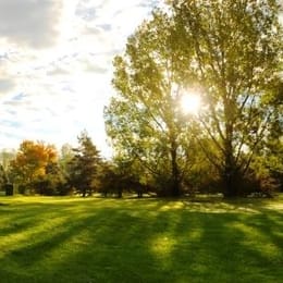 Madawaska Golf Course (Sumac Grove)