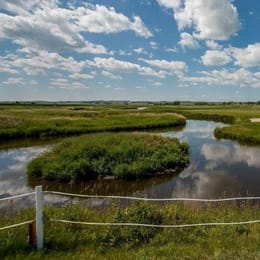 Collicutt Siding Golf Club