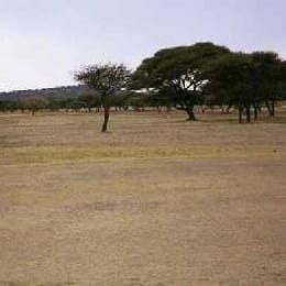 Hartswater Golf Club