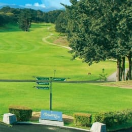 Golf Club Twin Fields (Gold)