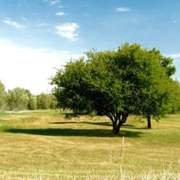 UGOLF Golf de Villenave d'Ornon